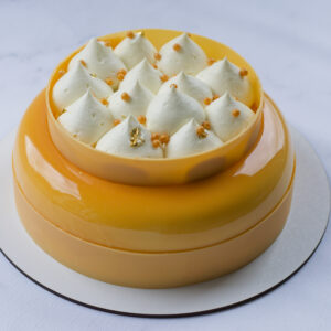Tropical Coconut, Mango & Passionfruit Entremet front view